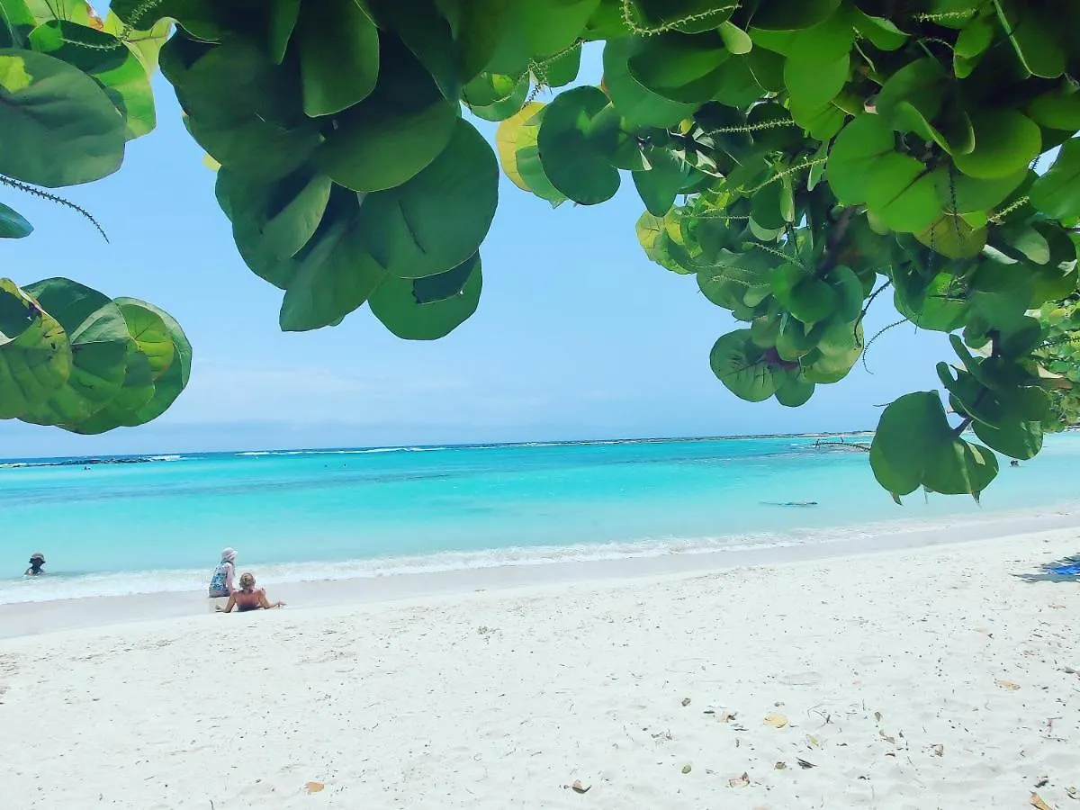 Aruba Family Oasis 2Br Pool 3Min Walk To Eagle Beach Palm Beach 0*,  Aruba