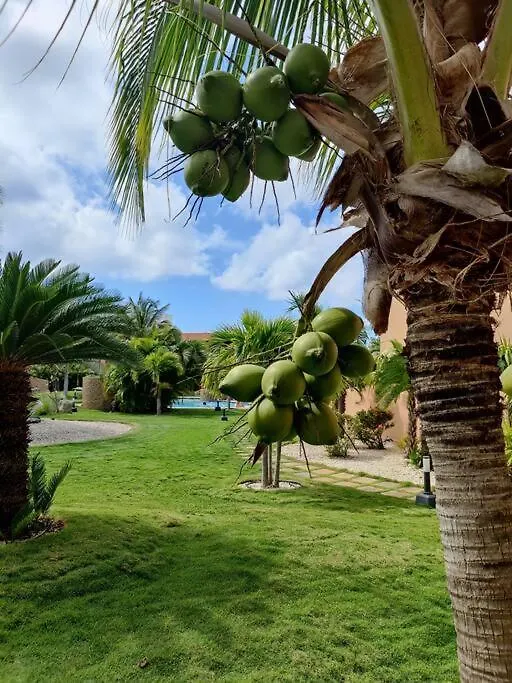 Apartamento Jardines del Mar Palm Beach