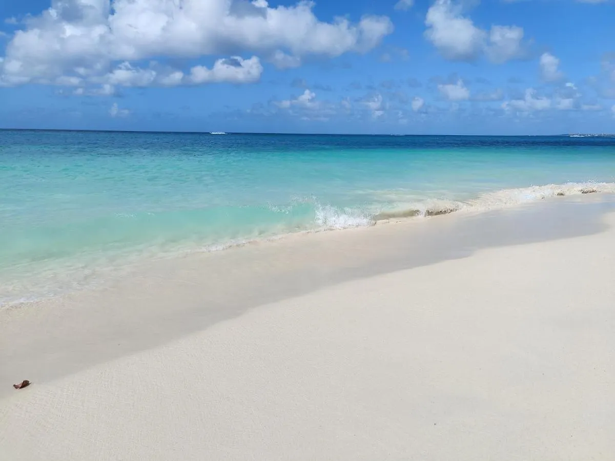 Apartamento Jardines del Mar Palm Beach 0*,