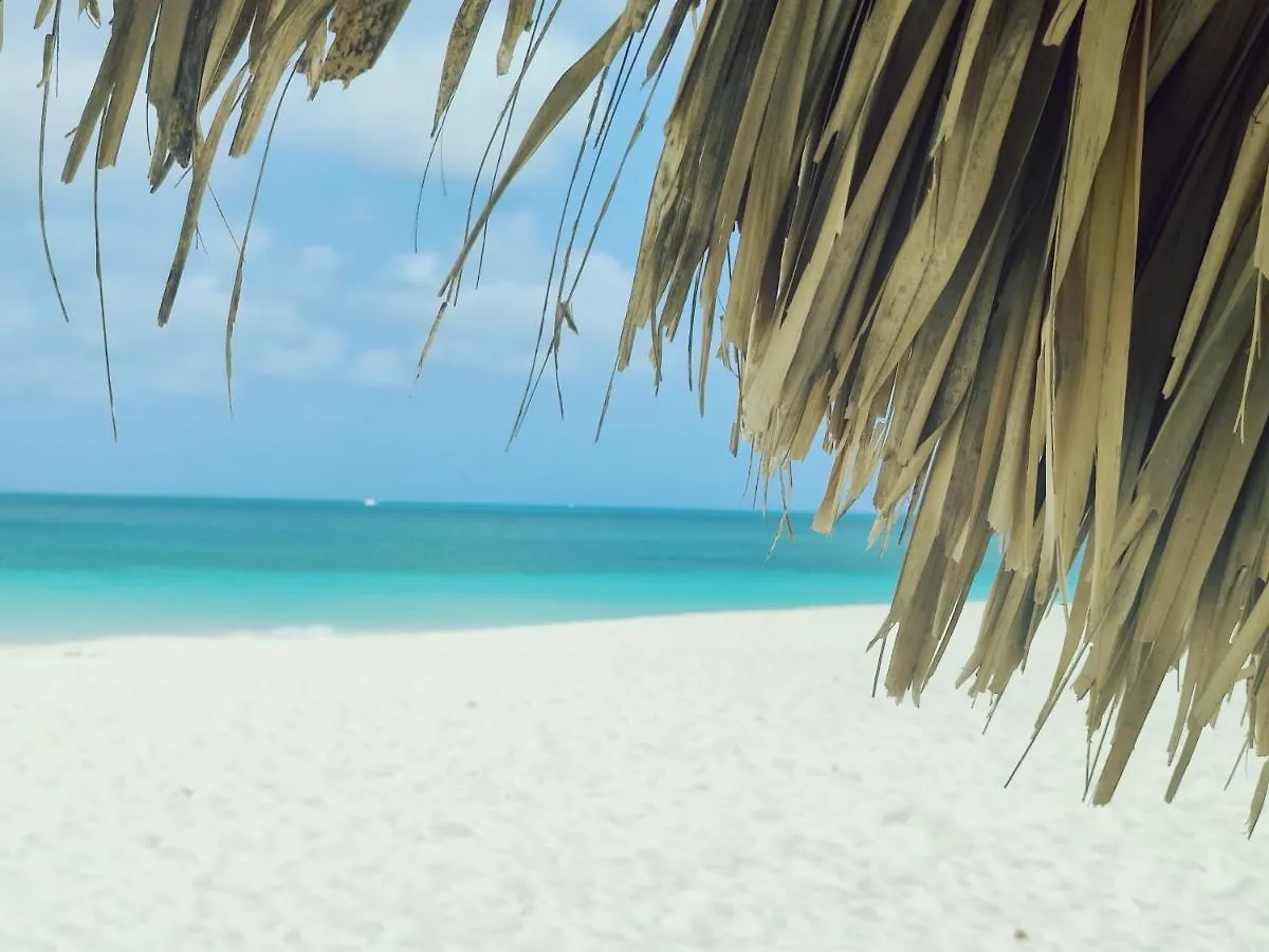 Apartamento Jardines del Mar Palm Beach Aruba